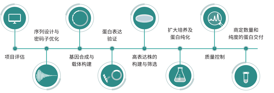 人全長重組膠原蛋白服務(wù)流程